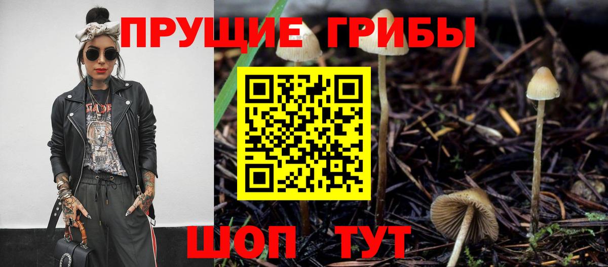 Галлюциногенные грибы Cubensis Энгельс